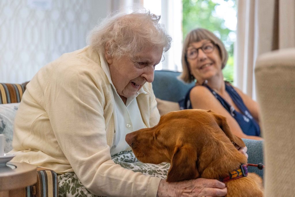 Melton Court East Wing Lounge-15