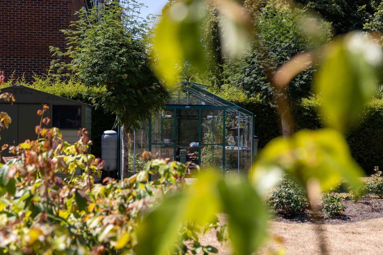 Melton Court Garden-13